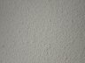 DSC02260.jpg - 